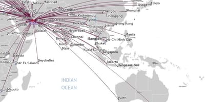 Qatar airlines peta